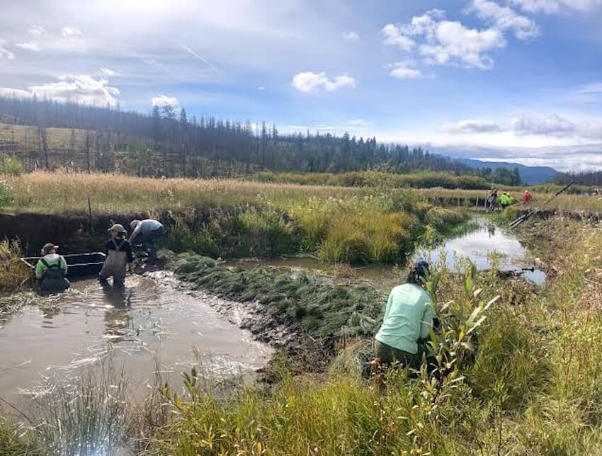 Kamloops-area projects will mimic beaver dams to help streams retain water longer (Kamloops)