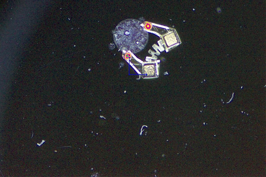 Handle With Care: Mobile Microgrippers Pick Up Cells in a Pinch